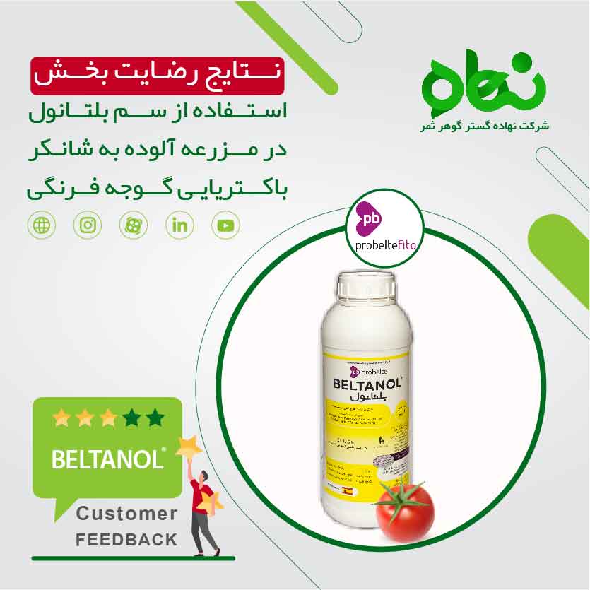 نتایج رضایت بخش استفاده از سم بلتانول در مزرعه آلوده به شانکر باکتریایی گوجه فرنگی